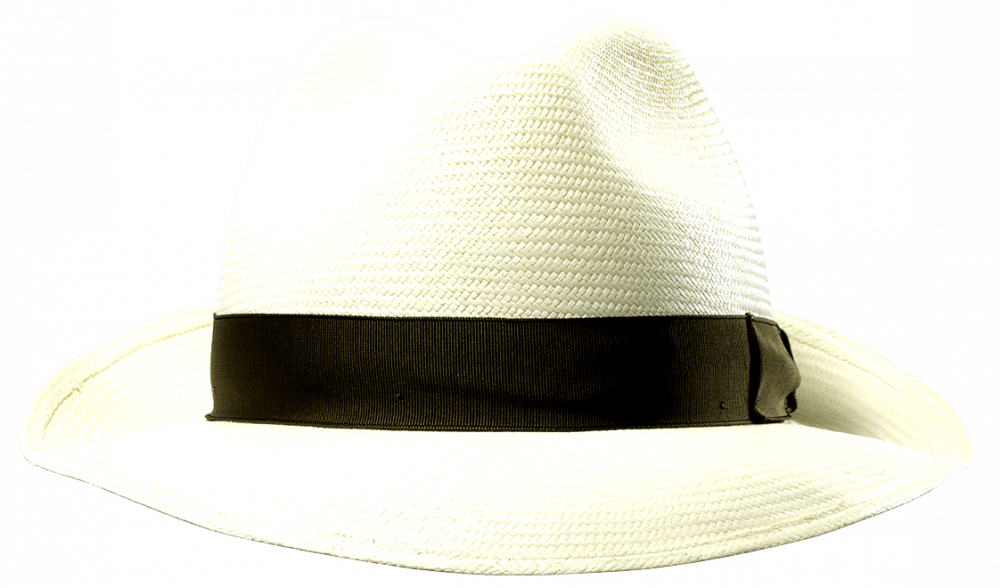 Borsalino panama fino Sfr. 355.-