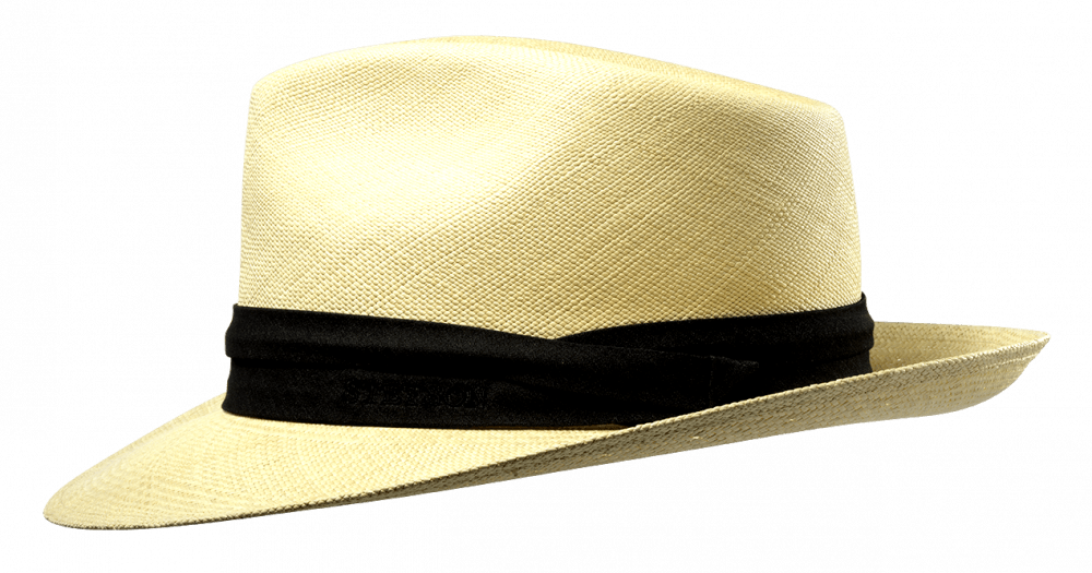 Panama Stetson Naturel Sfr. 289.-