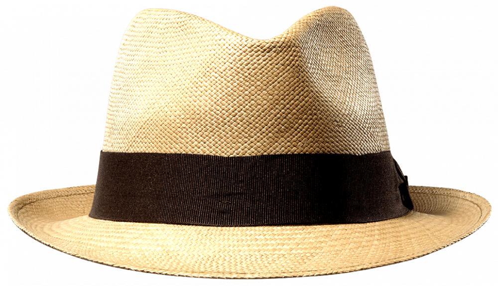 Panama Trilby Sfr. 125.-