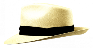 Panama Stetson Naturel Sfr. 289.-