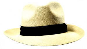 Stetson Panama Natur Sfr. 289.-